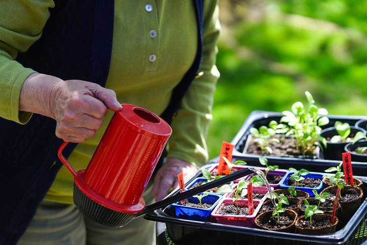 Gartenarbeit.jpg