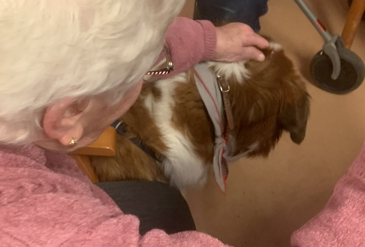 Hundestaffel zu Besuch im Seniorenzentrum"Am Ettenbach"